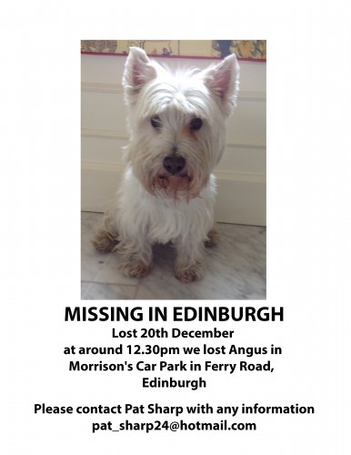 Missing Angus